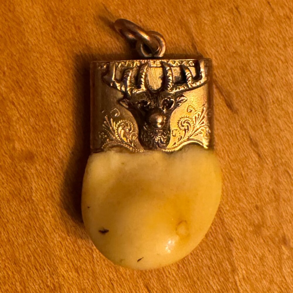 Victorian Elks Tooth Fob/Pendant